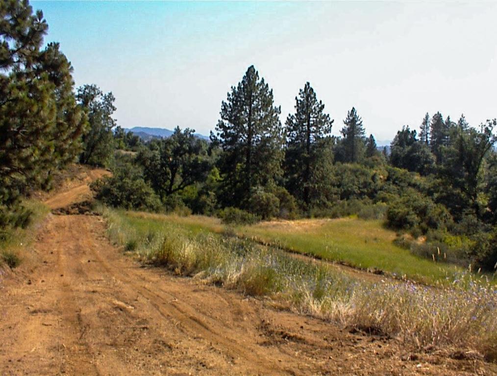 53333 Hwy 245, Pinehurst, CA 93641