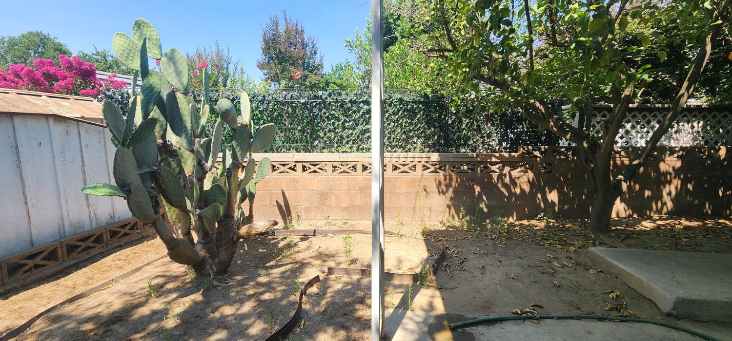 1300 W Olson Ave #155, Reedley, CA 93654