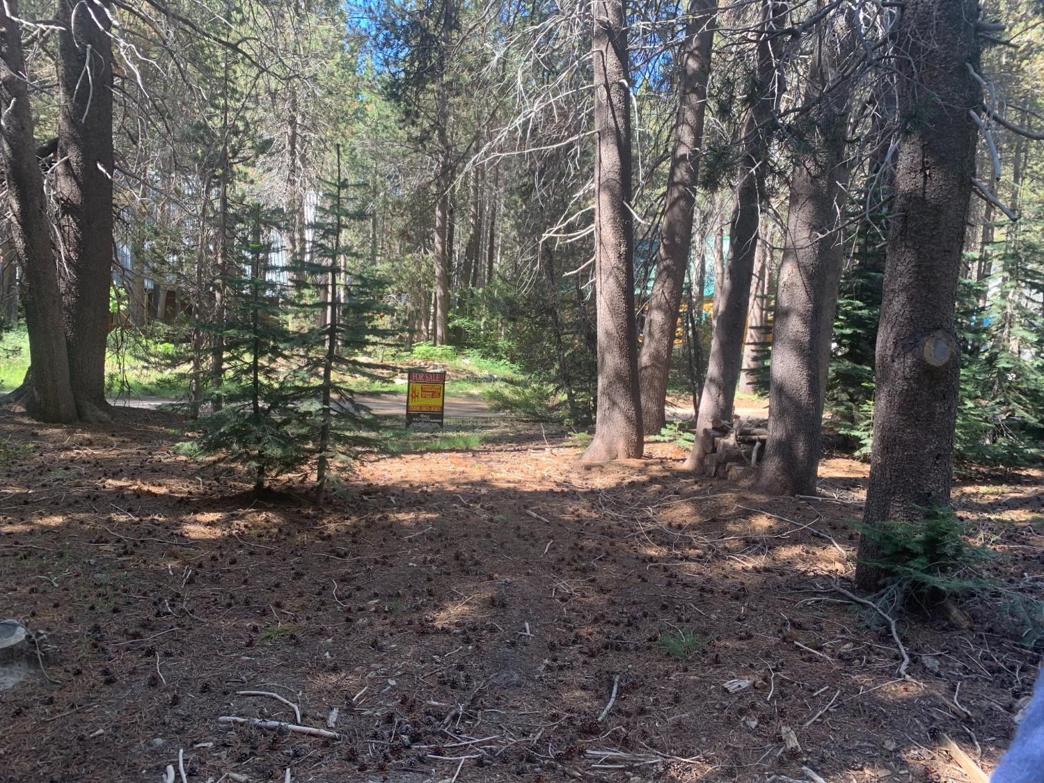3 N redtop Rd, Bass Lake, CA 93604