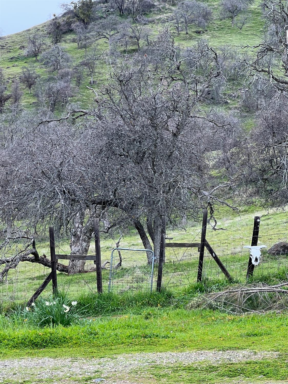 30284 Bear Mountain Rd, Yokuts Valley, CA 93675