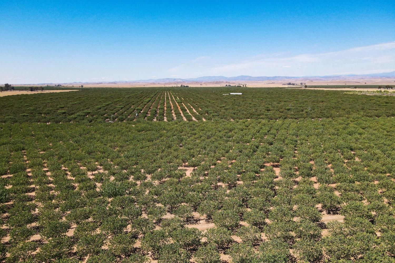 5529 S Baxter Rd, Legrand, CA 95333