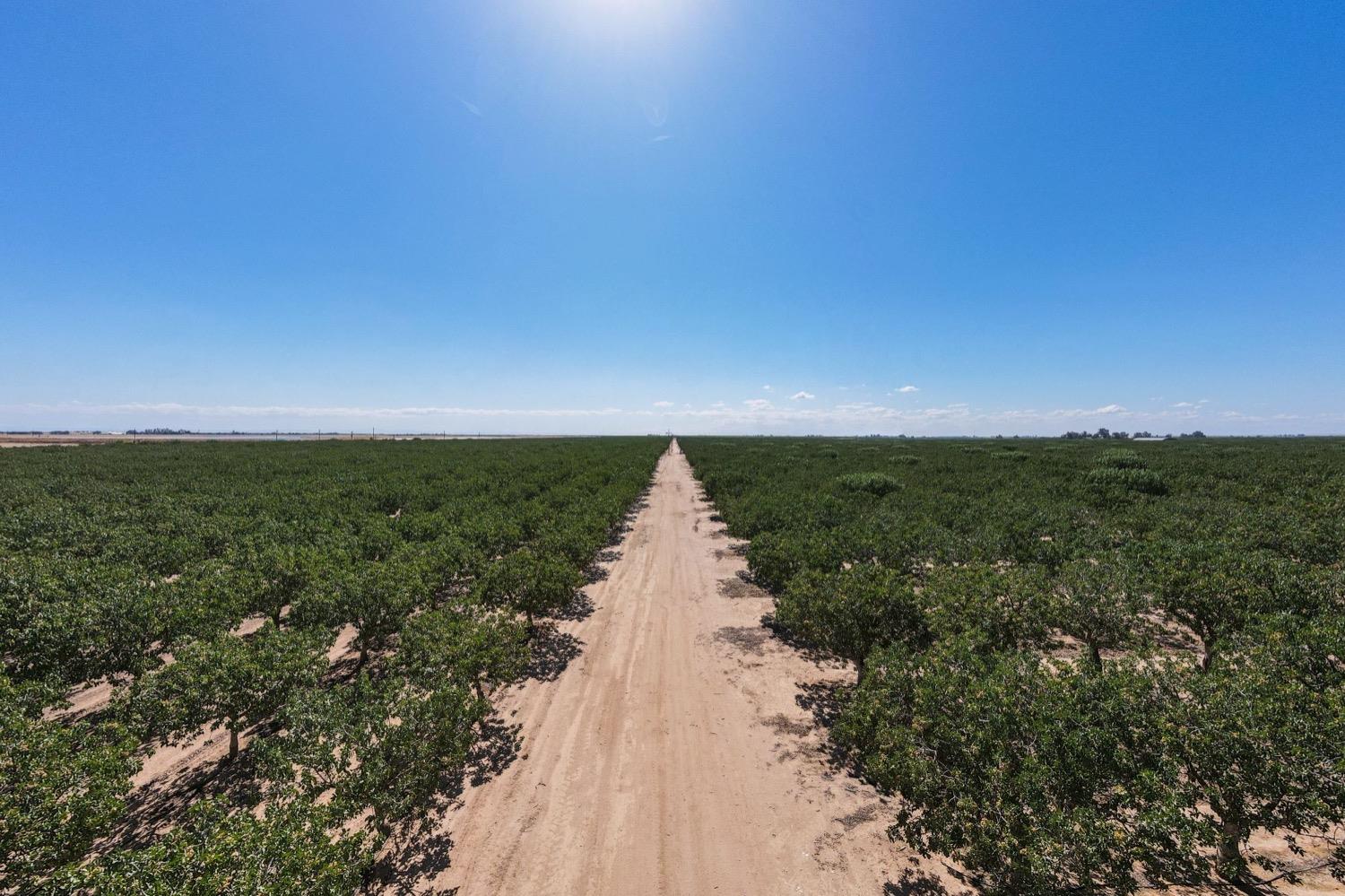 5529 S Baxter Rd, Legrand, CA 95333