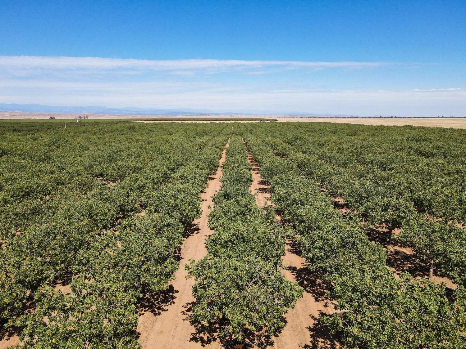5529 S Baxter Rd, Legrand, CA 95333