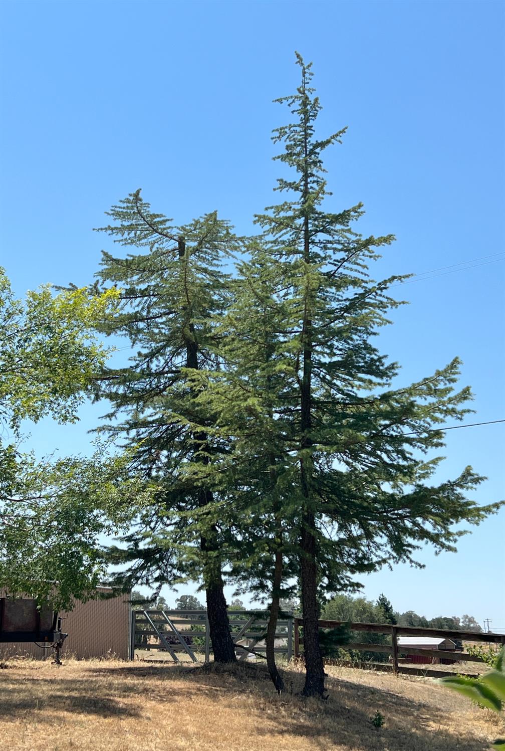 32644 Quail Ln, Yokuts Valley, CA 93675
