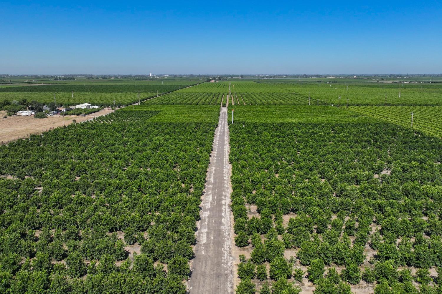 9464 Porter Ave, Dinuba, CA 93618