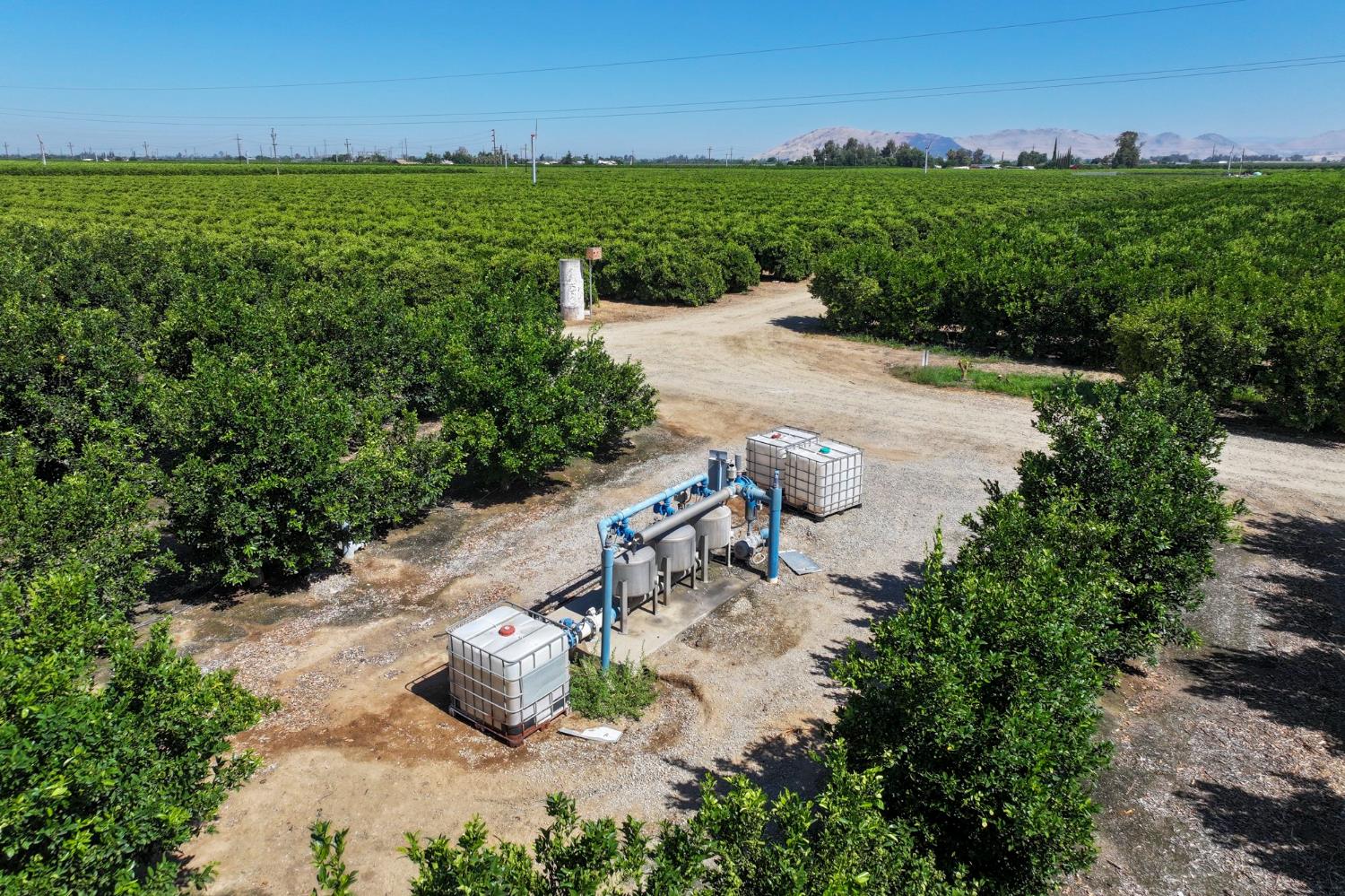 9464 Porter Ave, Dinuba, CA 93618
