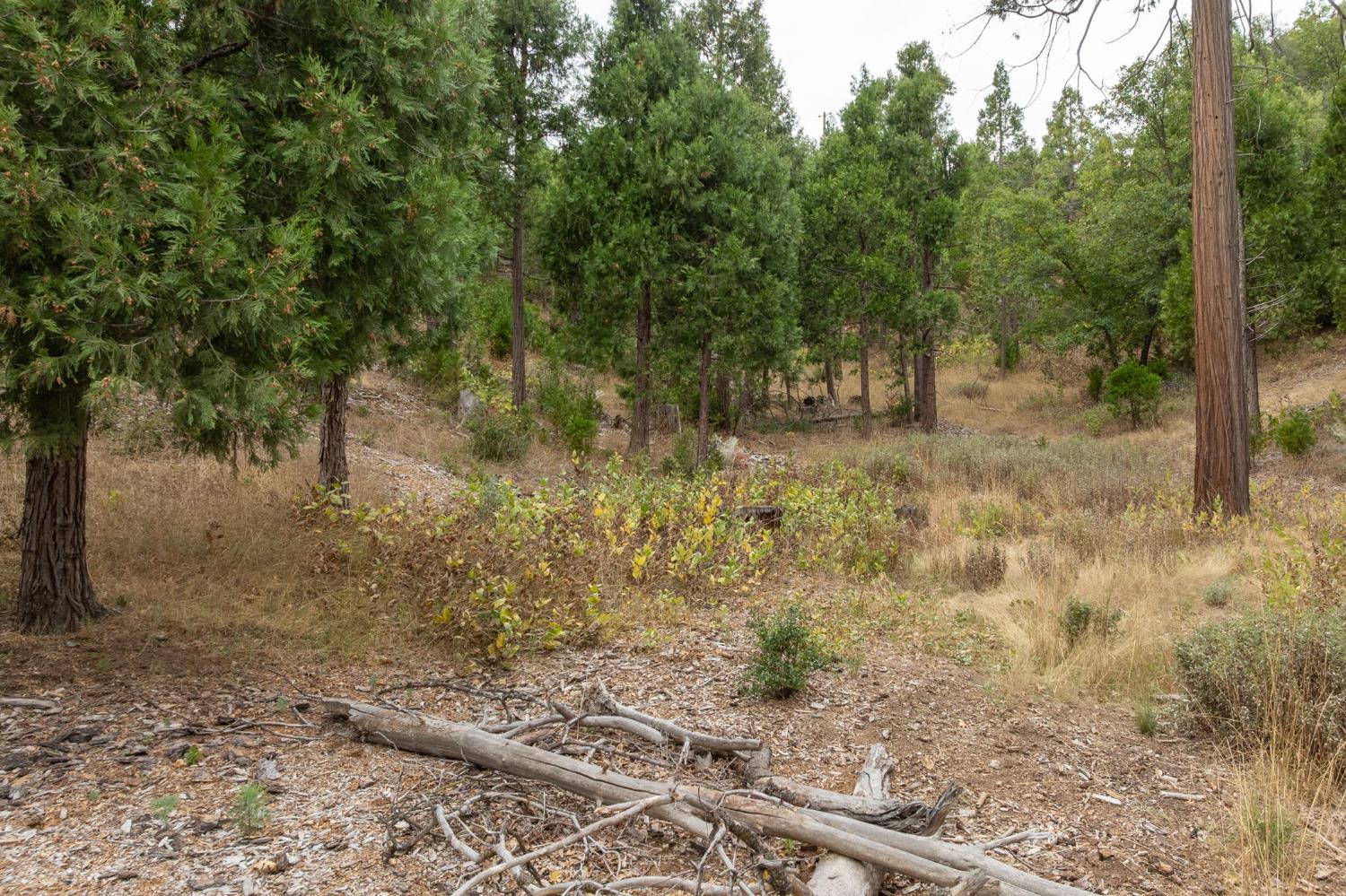26 Timberview Rd, North Fork, CA 93643