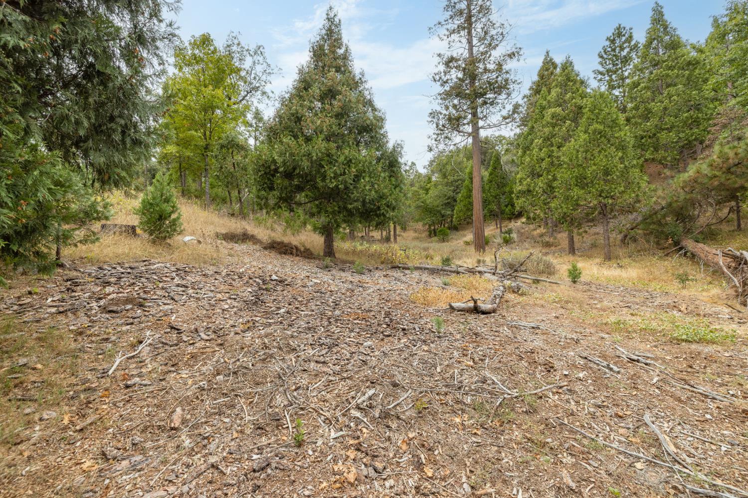 26 Timberview Rd, North Fork, CA 93643
