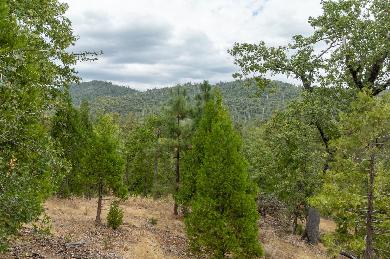 26 Timberview Rd, North Fork, CA 93643