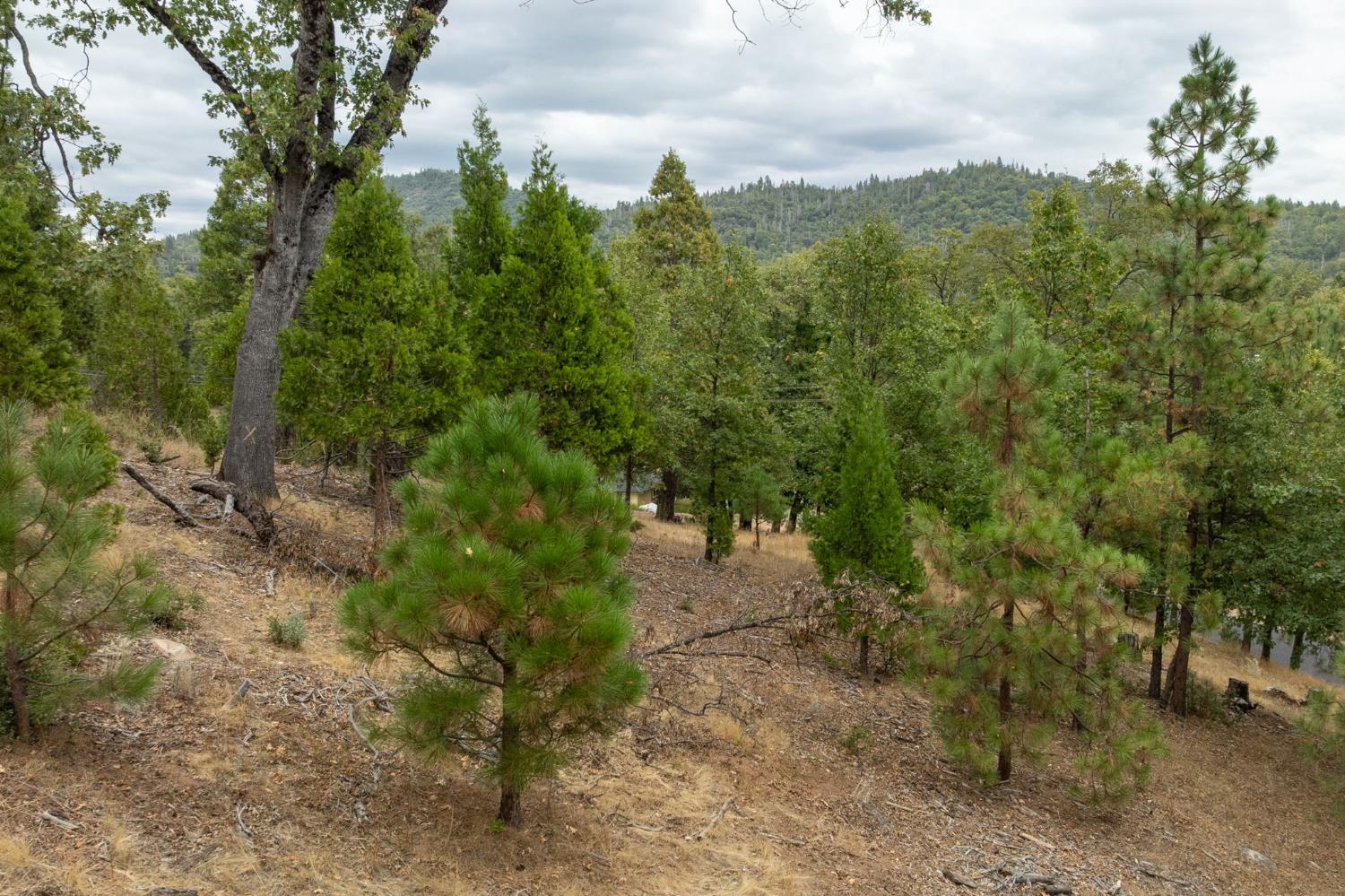 26 Timberview Rd, North Fork, CA 93643