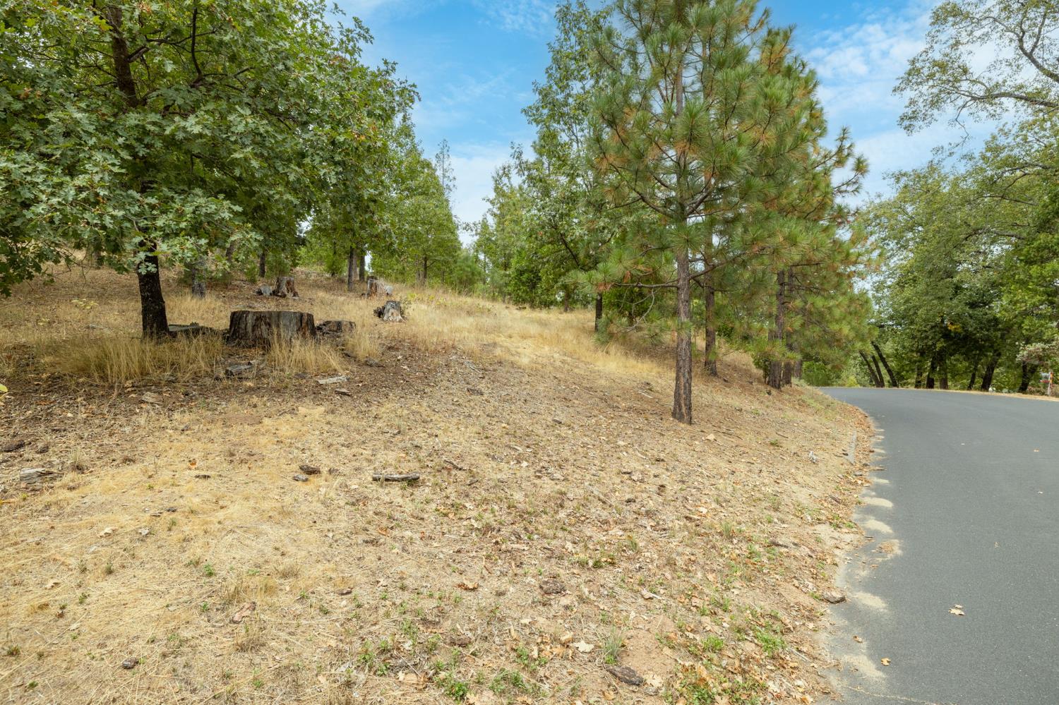 26 Timberview Rd, North Fork, CA 93643