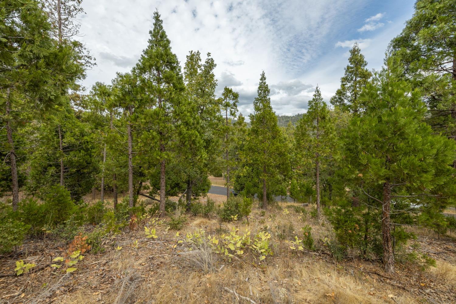 26 Timberview Rd, North Fork, CA 93643