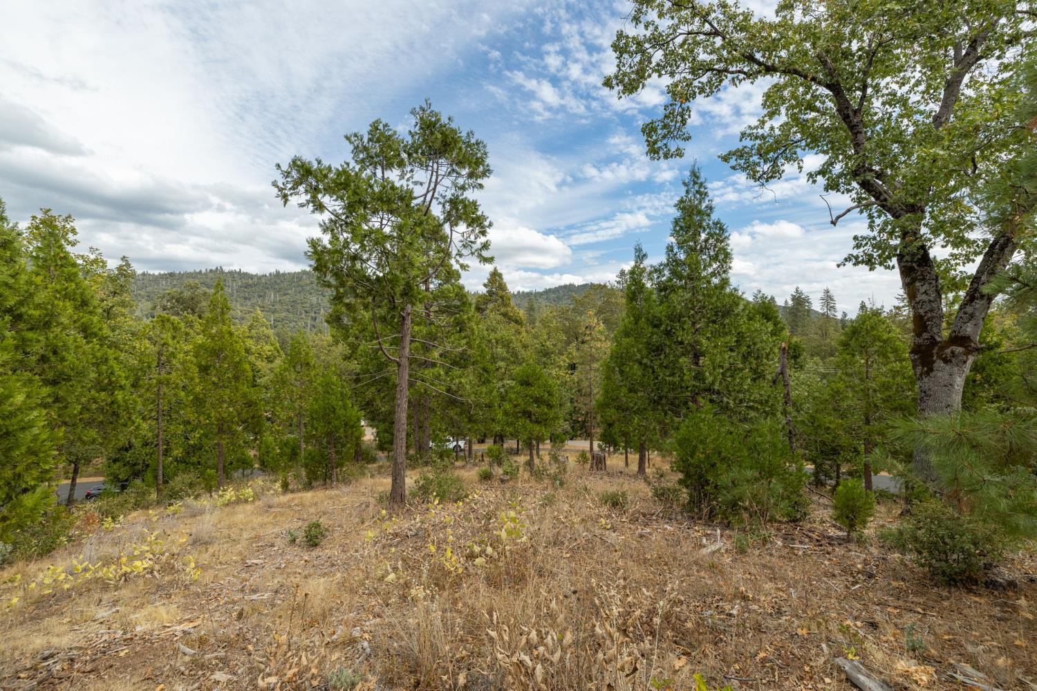 26 Timberview Rd, North Fork, CA 93643