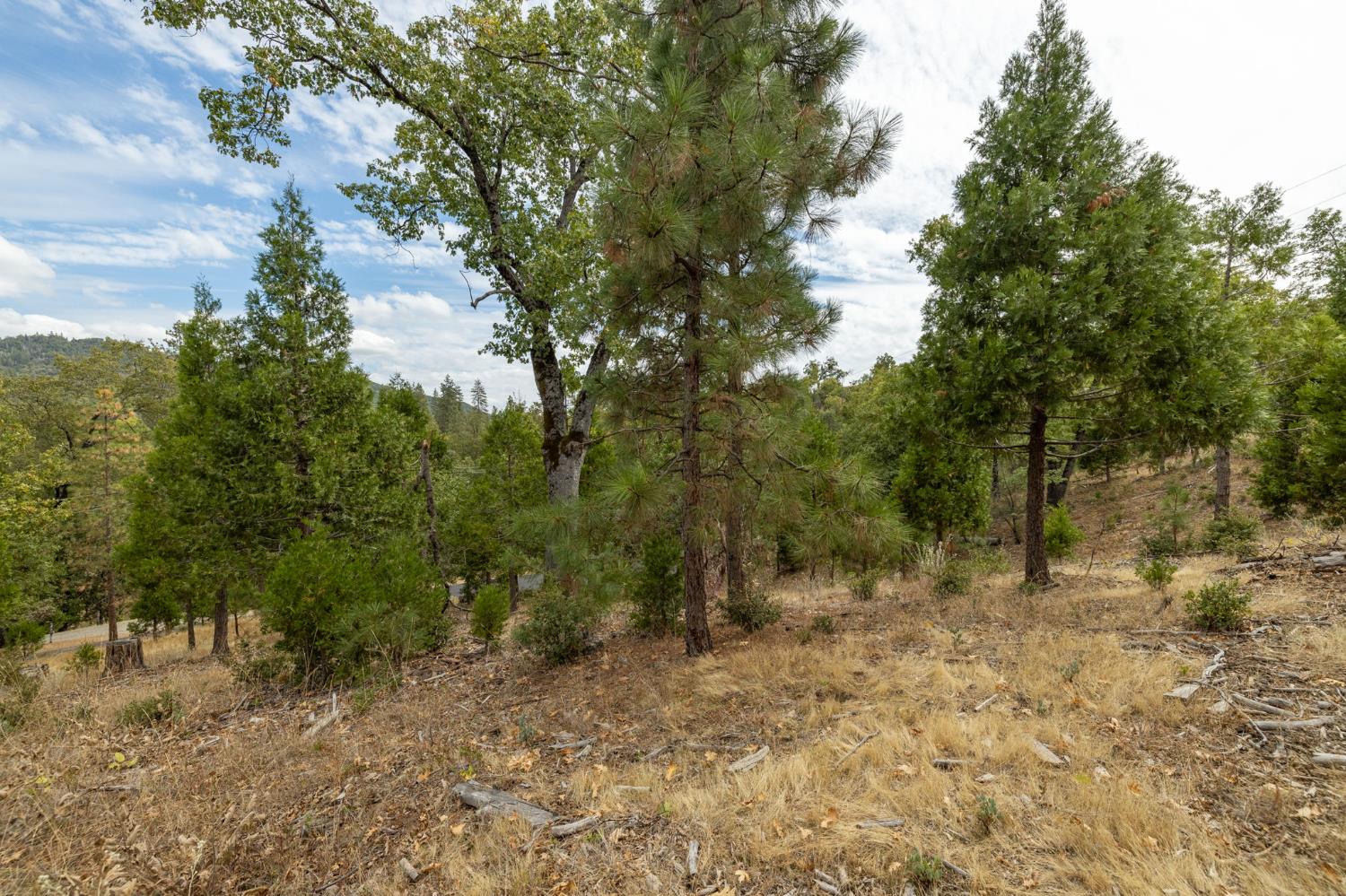 26 Timberview Rd, North Fork, CA 93643