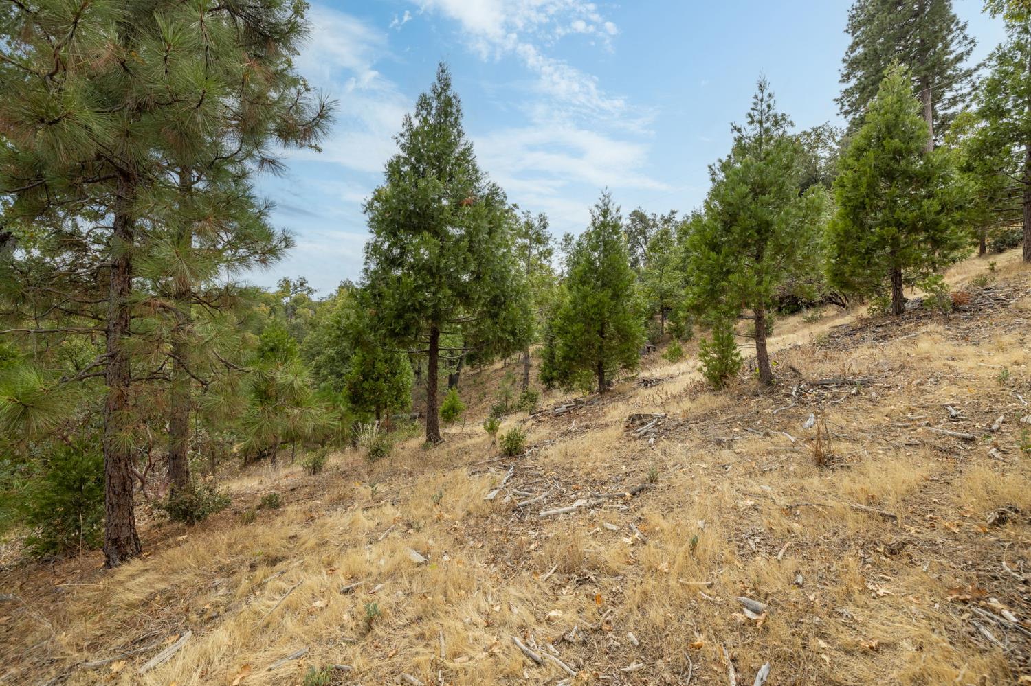 26 Timberview Rd, North Fork, CA 93643