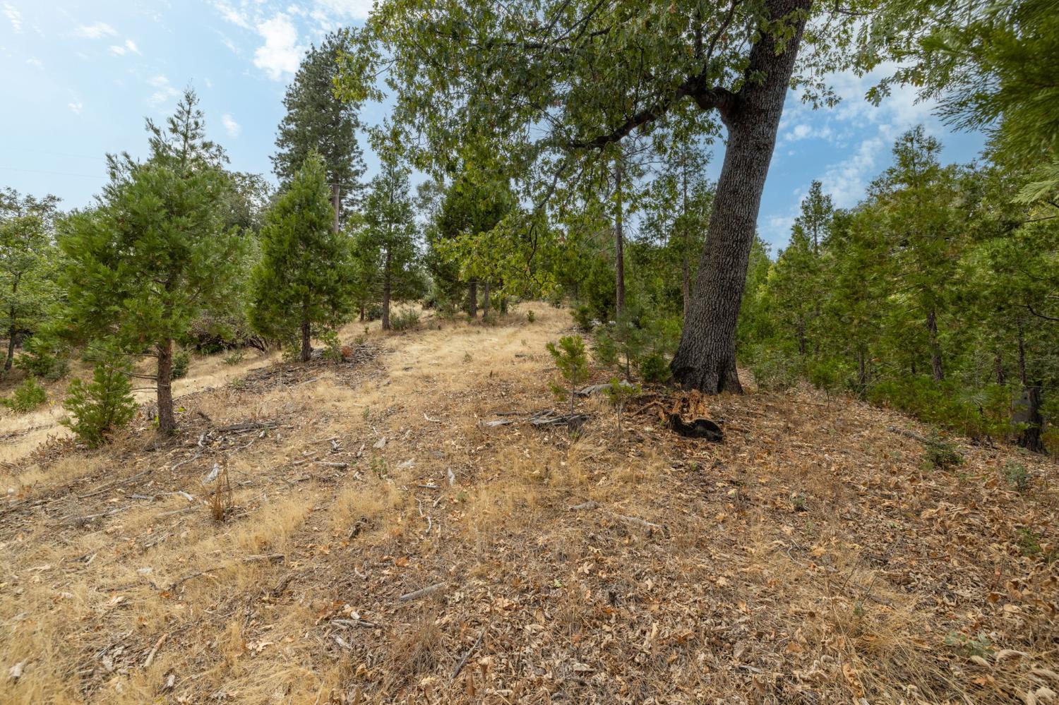 26 Timberview Rd, North Fork, CA 93643