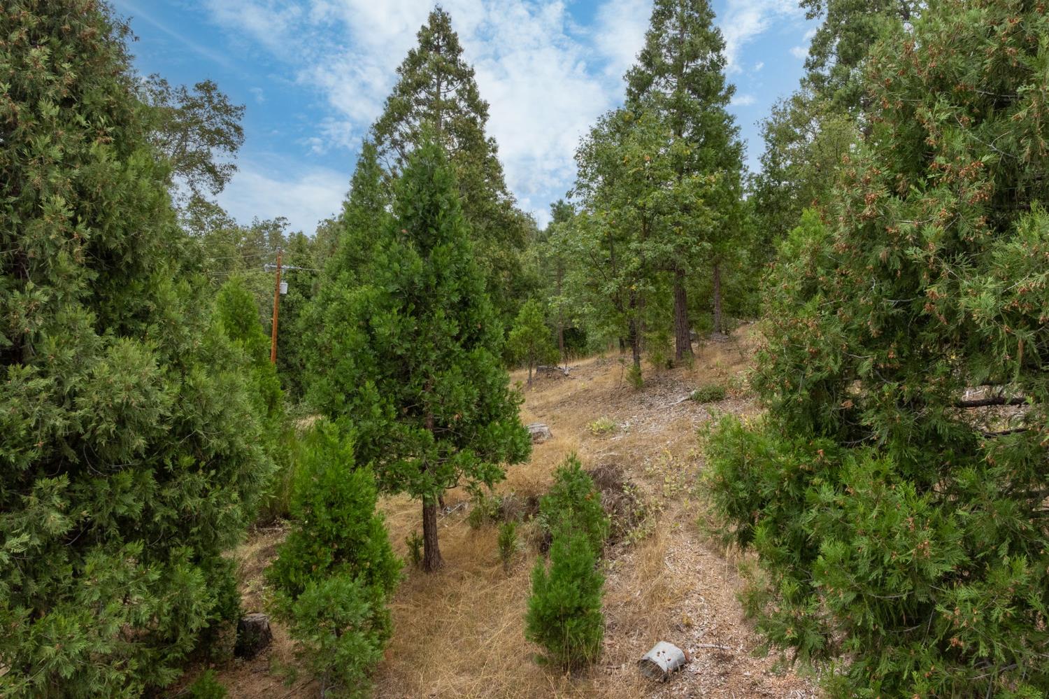 26 Timberview Rd, North Fork, CA 93643