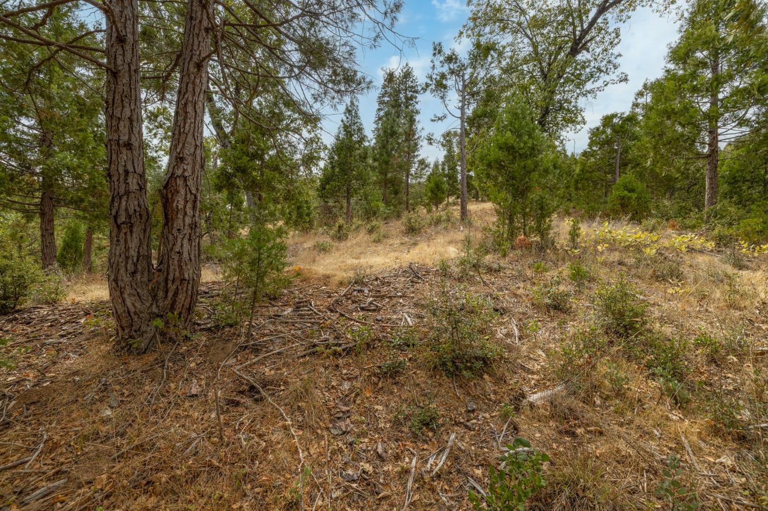 26 Timberview Rd, North Fork, CA 93643
