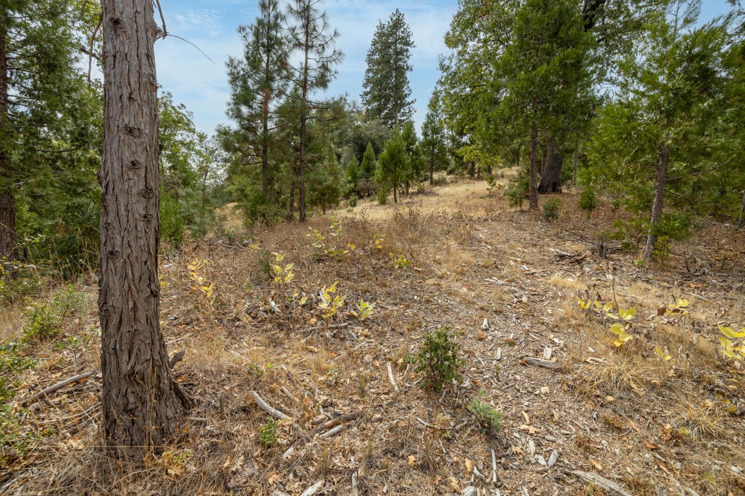 26 Timberview Rd, North Fork, CA 93643