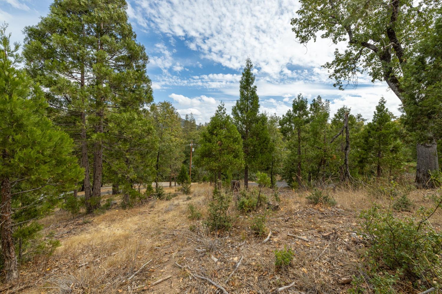 26 Timberview Rd, North Fork, CA 93643