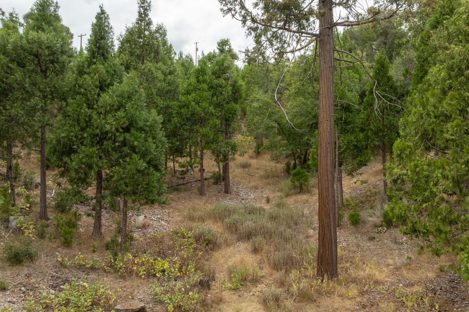 26 Timberview Rd, North Fork, CA 93643