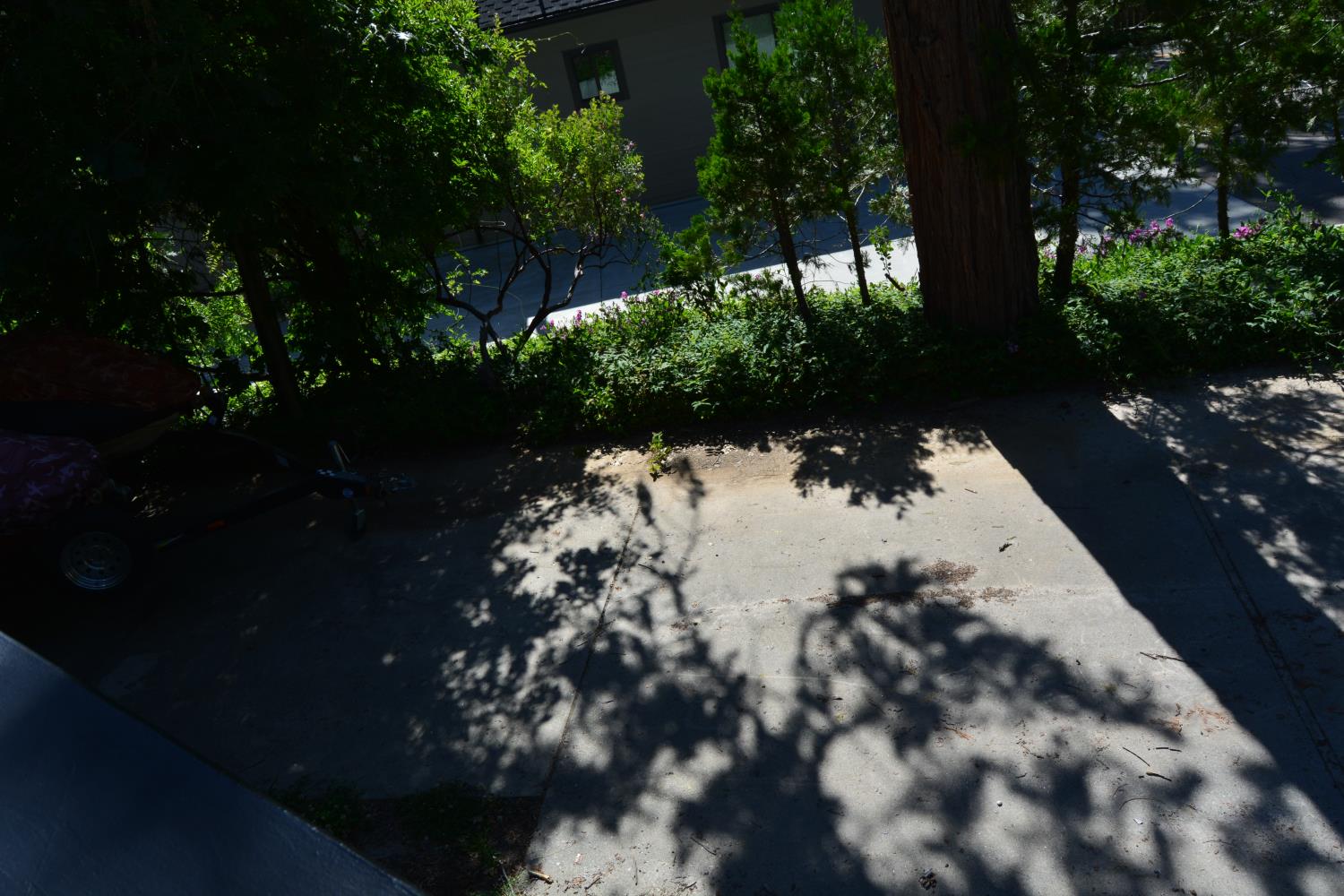 39543 Saunders, Bass Lake, CA 93604