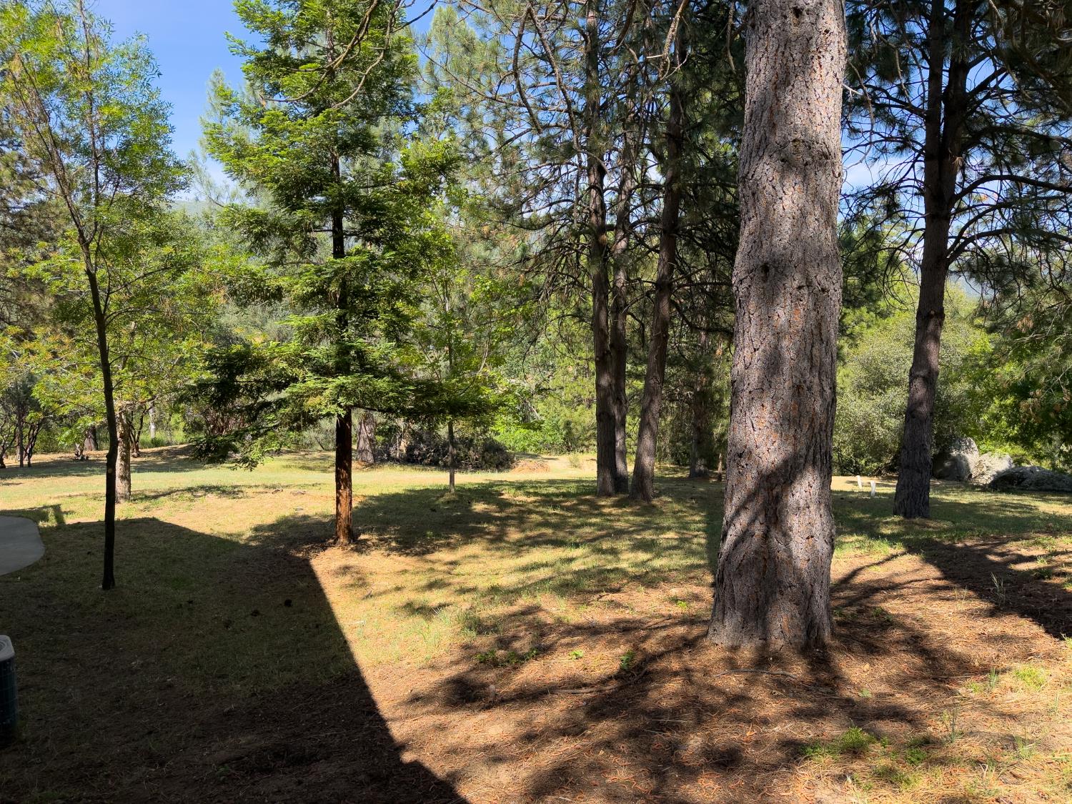 5800 Lehamite Fall Rd, Mariposa, CA 95338