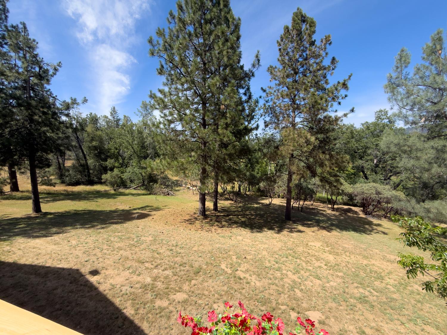 5800 Lehamite Fall Rd, Mariposa, CA 95338