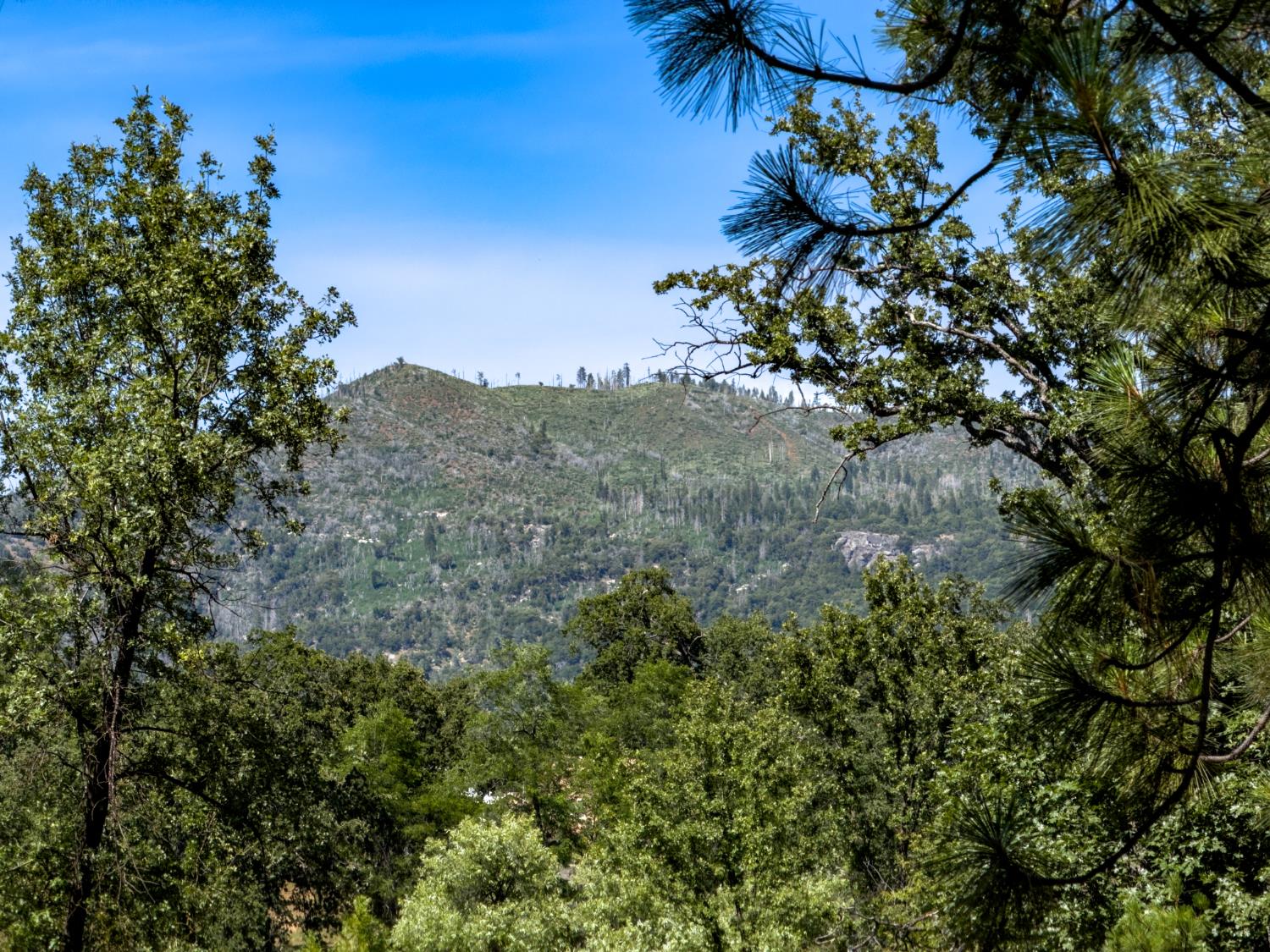 5800 Lehamite Fall Rd, Mariposa, CA 95338