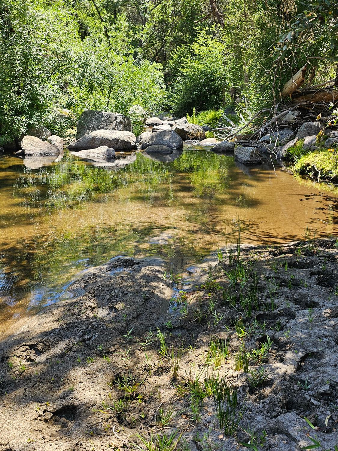 0 0 Rush Creek Rd, Piedra, CA 93726