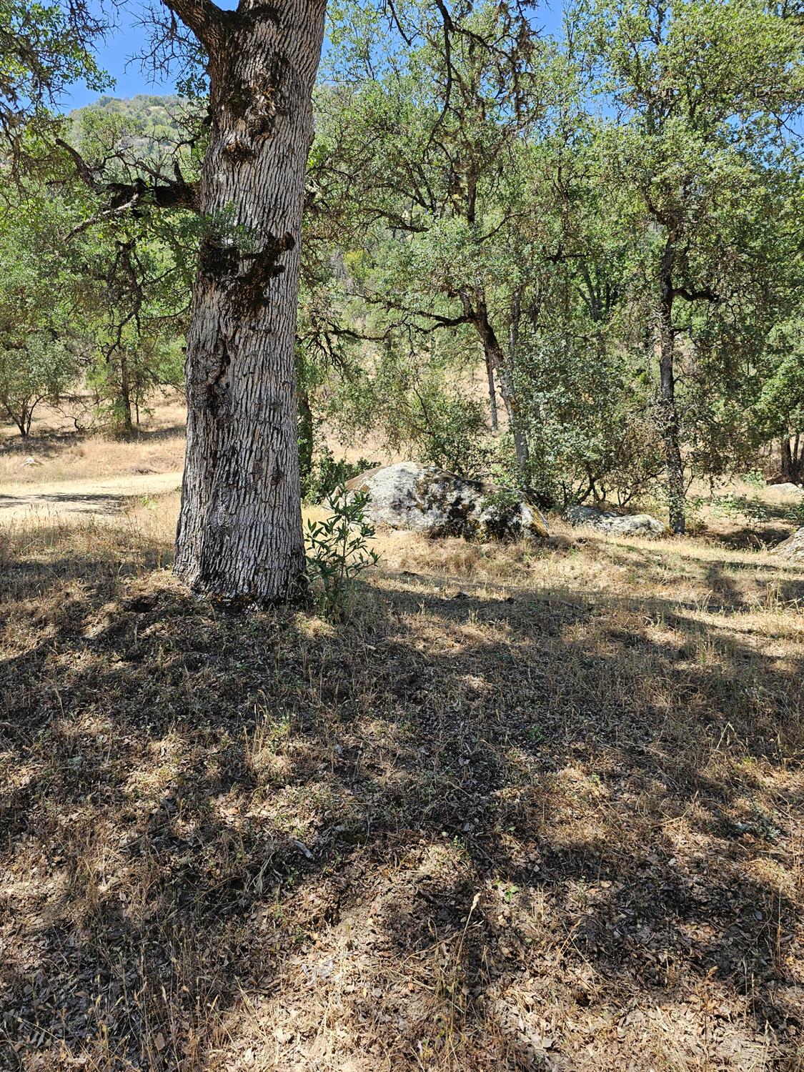 0 0 Rush Creek Rd, Piedra, CA 93726