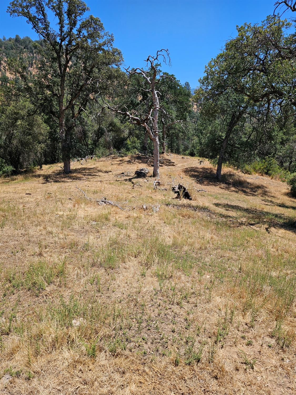 0 0 Rush Creek Rd, Piedra, CA 93726