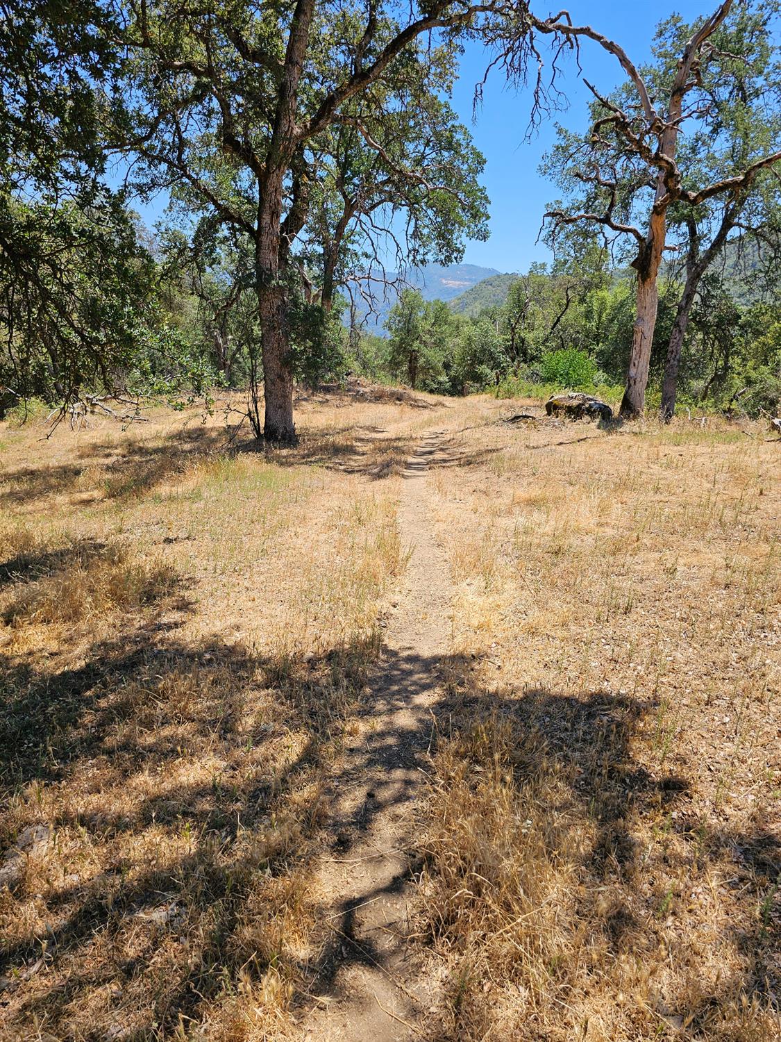 0 0 Rush Creek Rd, Piedra, CA 93726