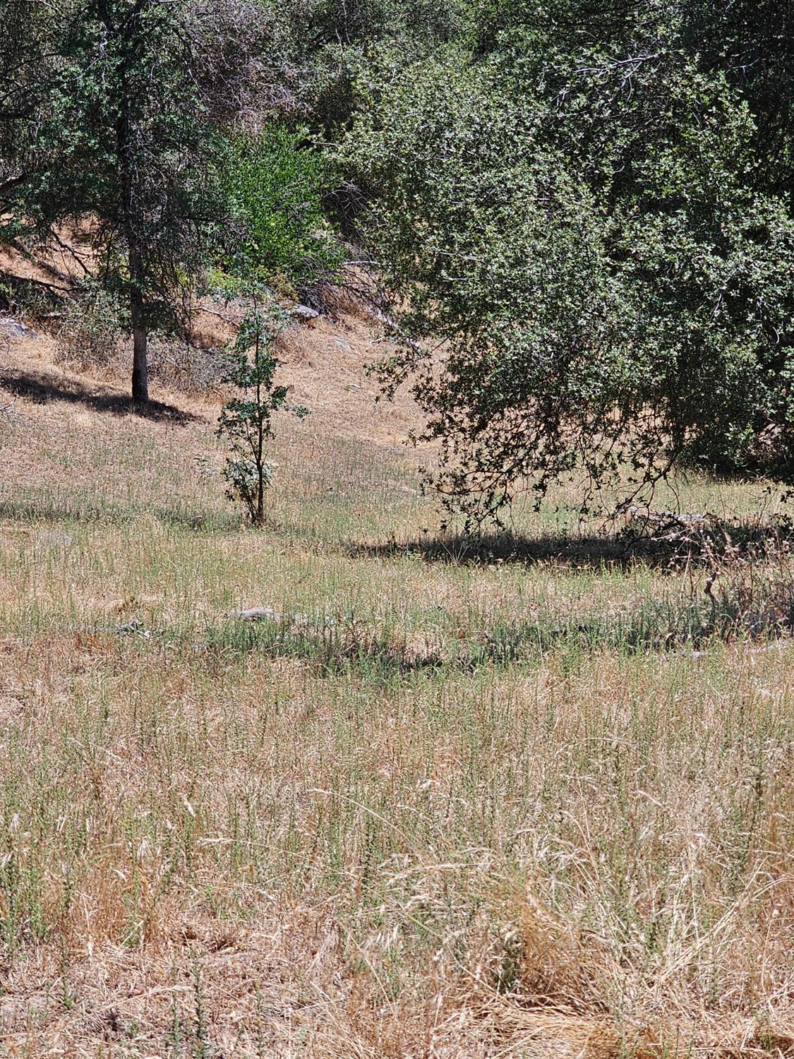 0 0 Rush Creek Rd, Piedra, CA 93726