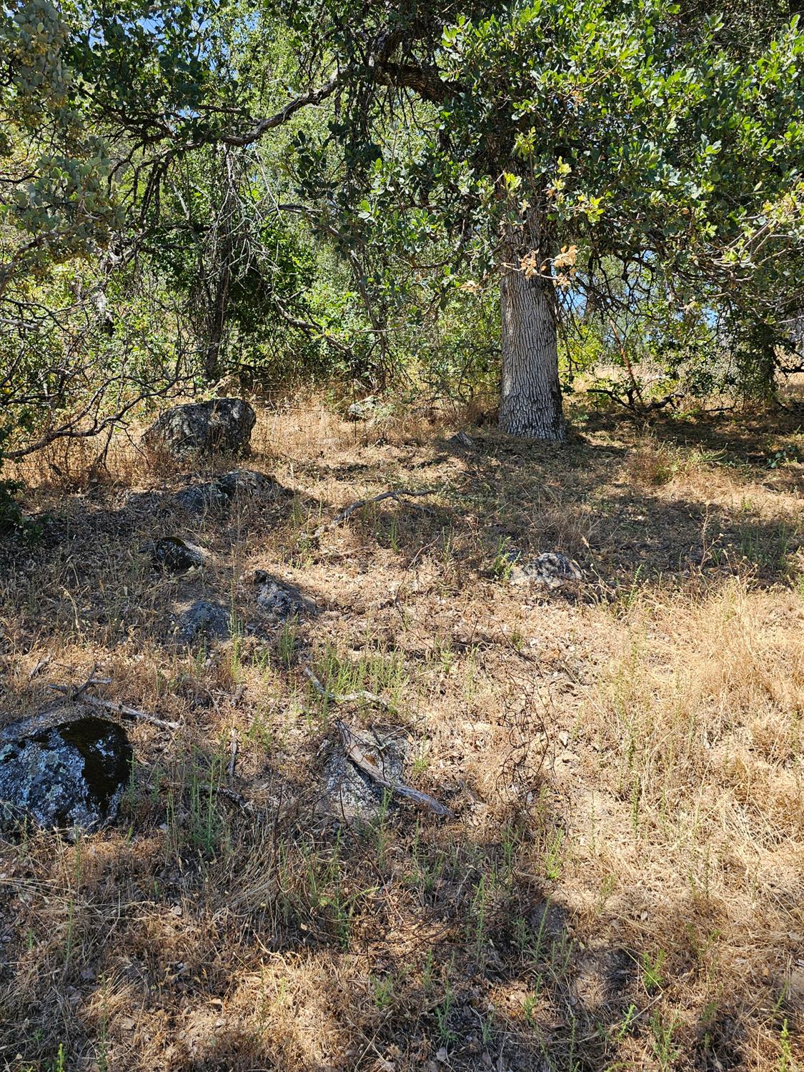 0 0 Rush Creek Rd, Piedra, CA 93726