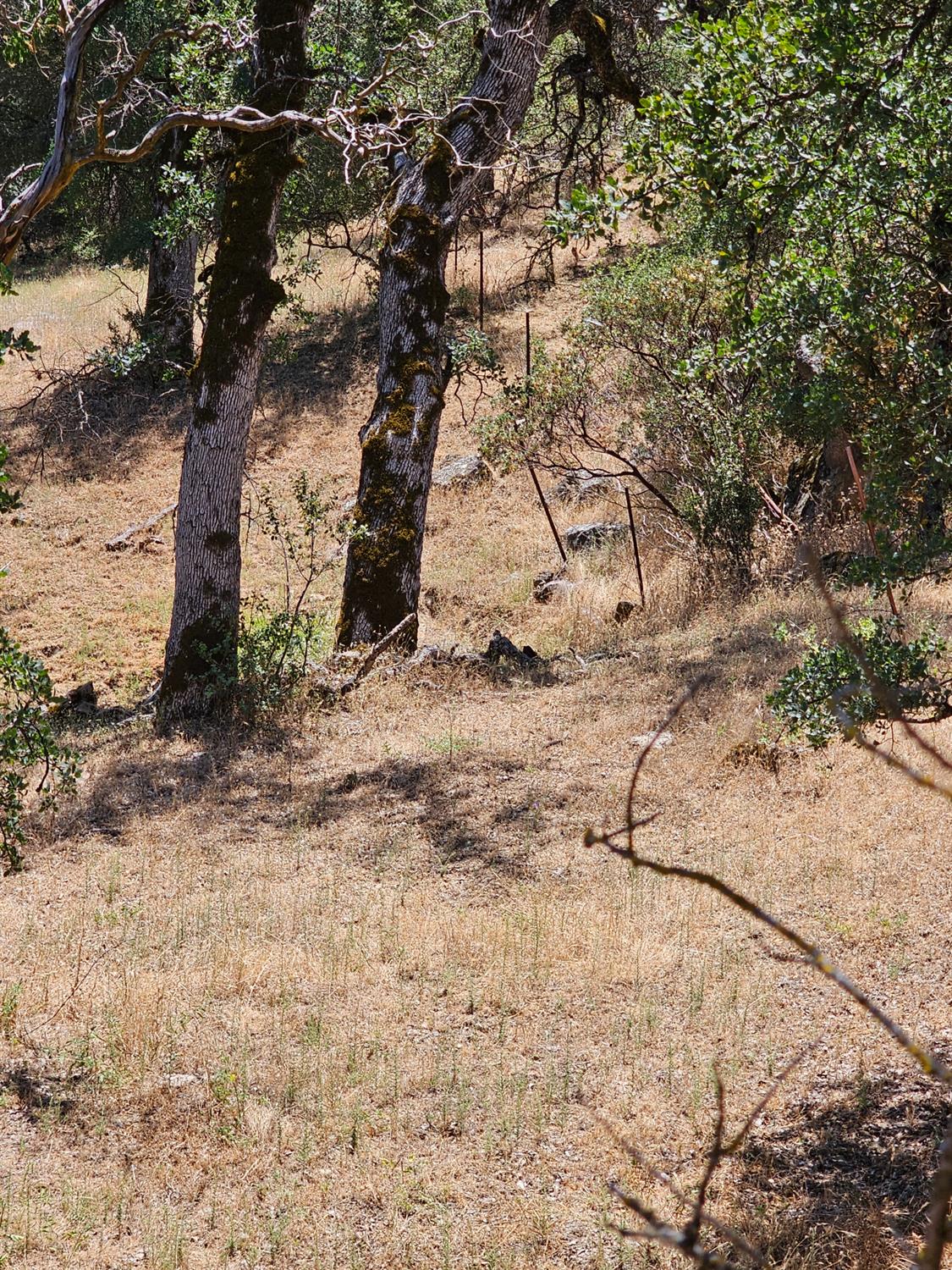 0 0 Rush Creek Rd, Piedra, CA 93726