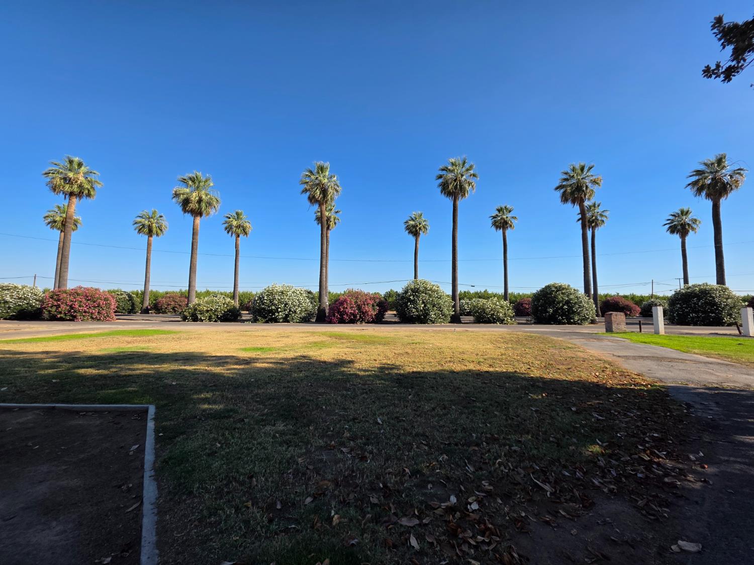 2010 W Kearney Blvd, Fresno, CA 93706