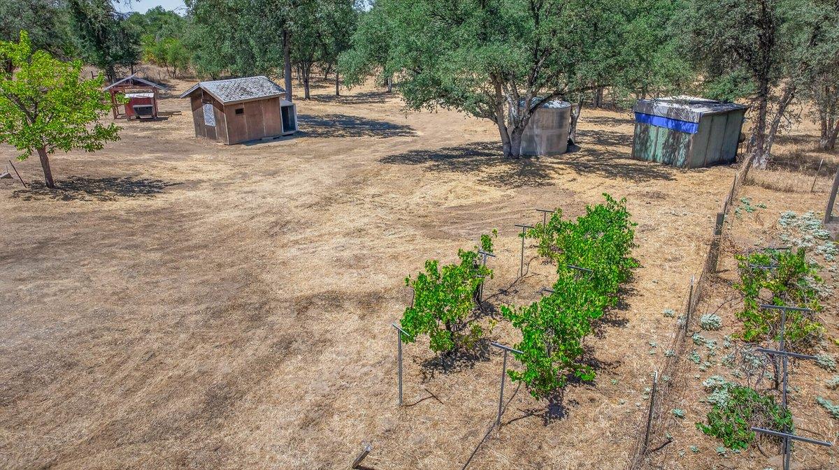 31417 Auberry Rd, Auberry, CA 93602