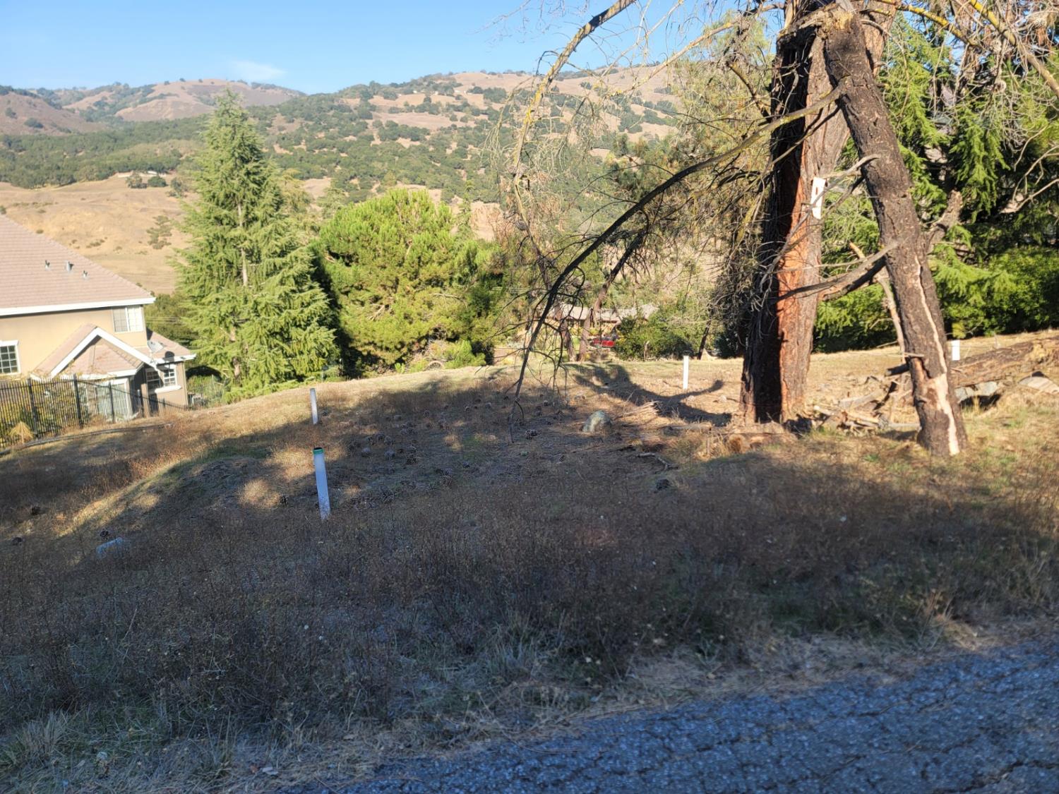 17381 Holiday Dr, Morgan Hill, CA 95037