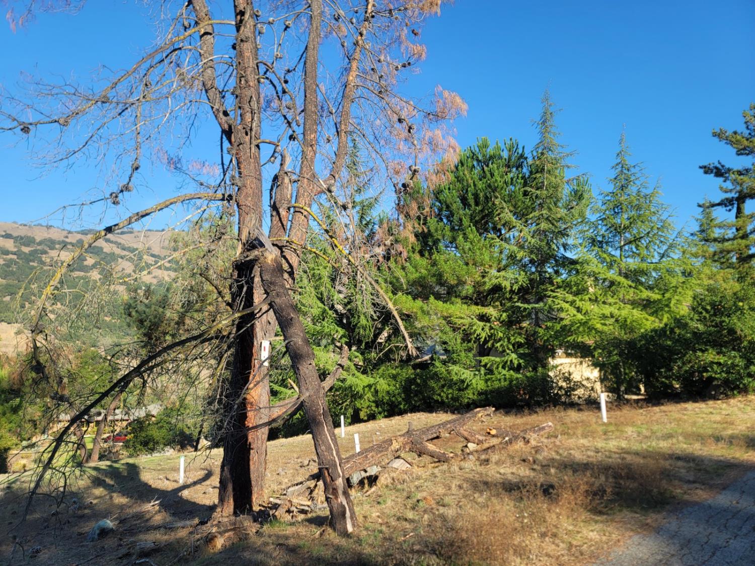 17381 Holiday Dr, Morgan Hill, CA 95037