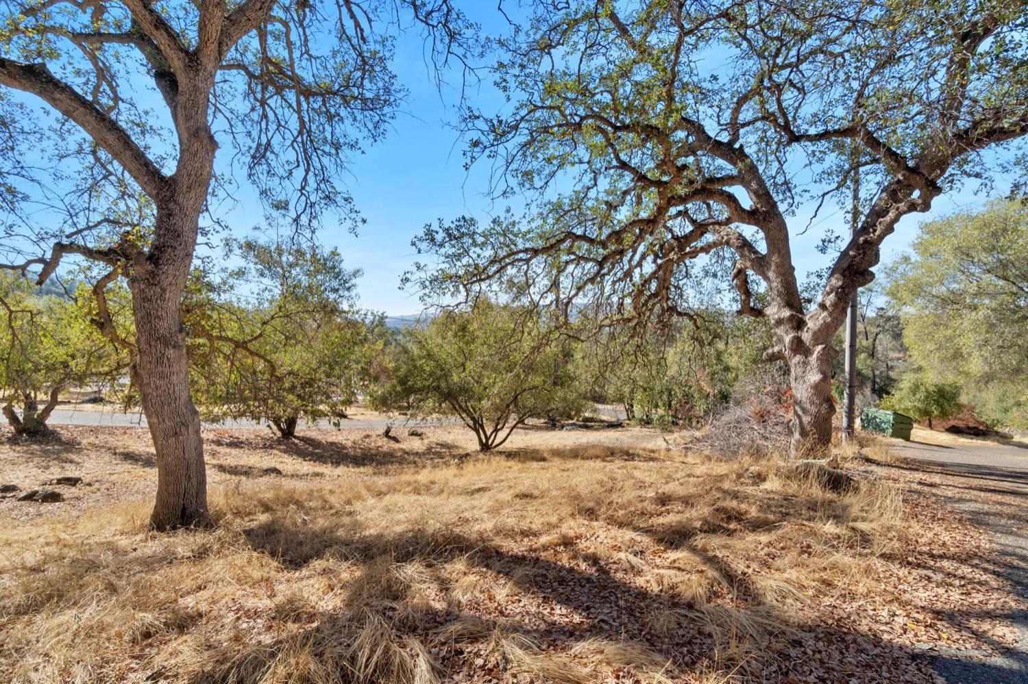 43299 Ranger Circle Dr, Coarsegold, CA 93614