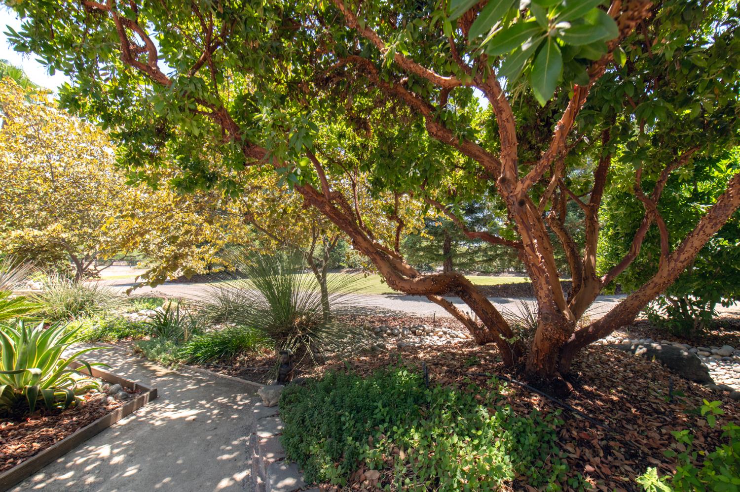 5232 Horseshoe Bend Ave, Clovis, CA 93619