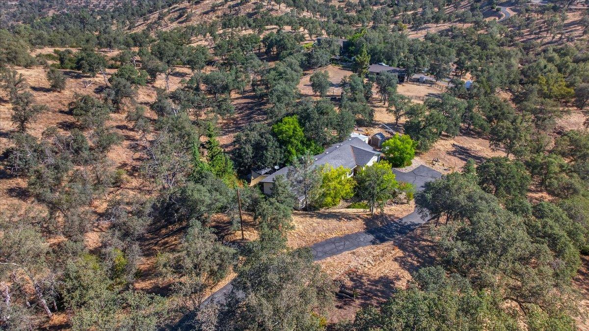 41393 Roaring RIver Way, Coarsegold, CA 93614