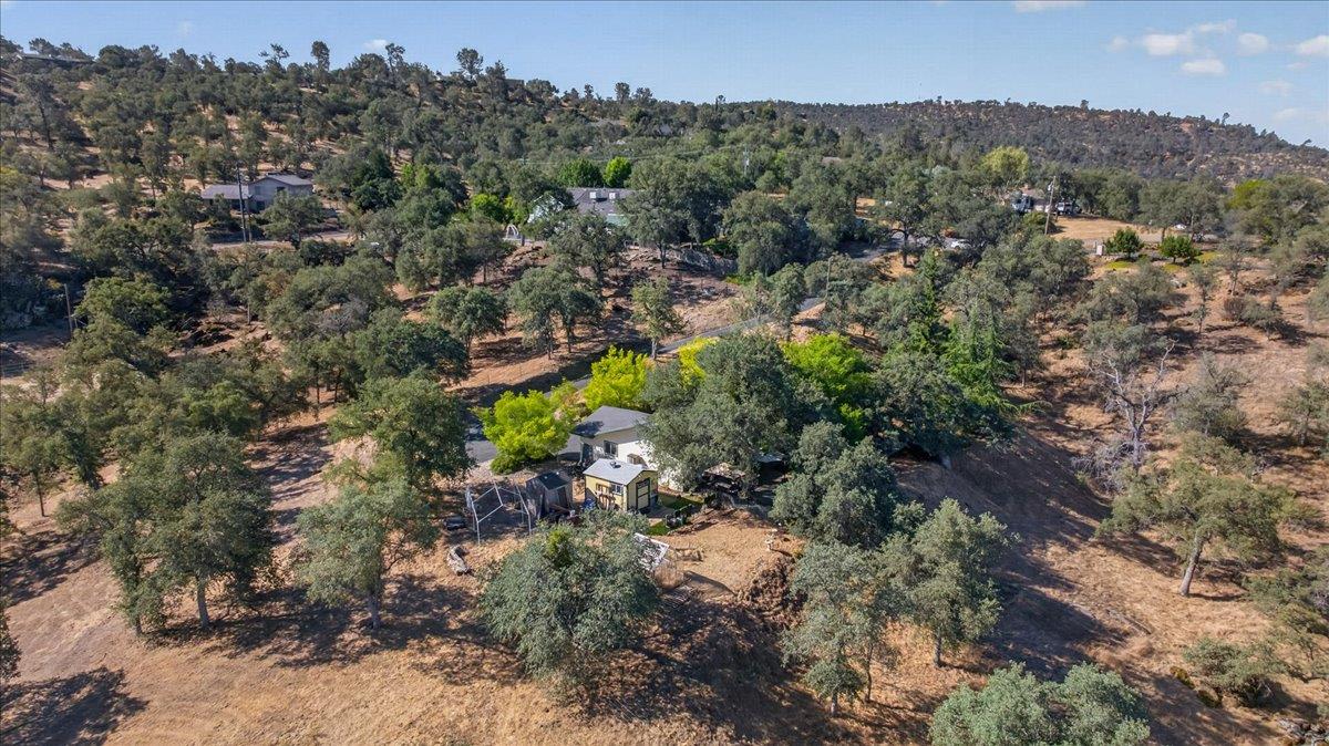 41393 Roaring RIver Way, Coarsegold, CA 93614