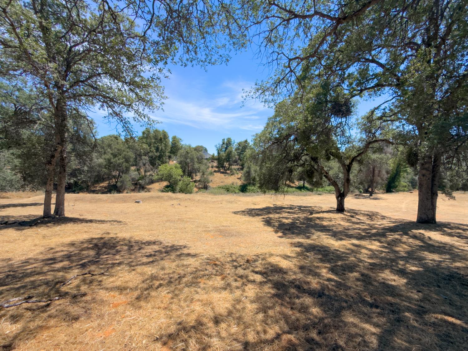 1 Spriggs Ln, Mariposa, CA 95338