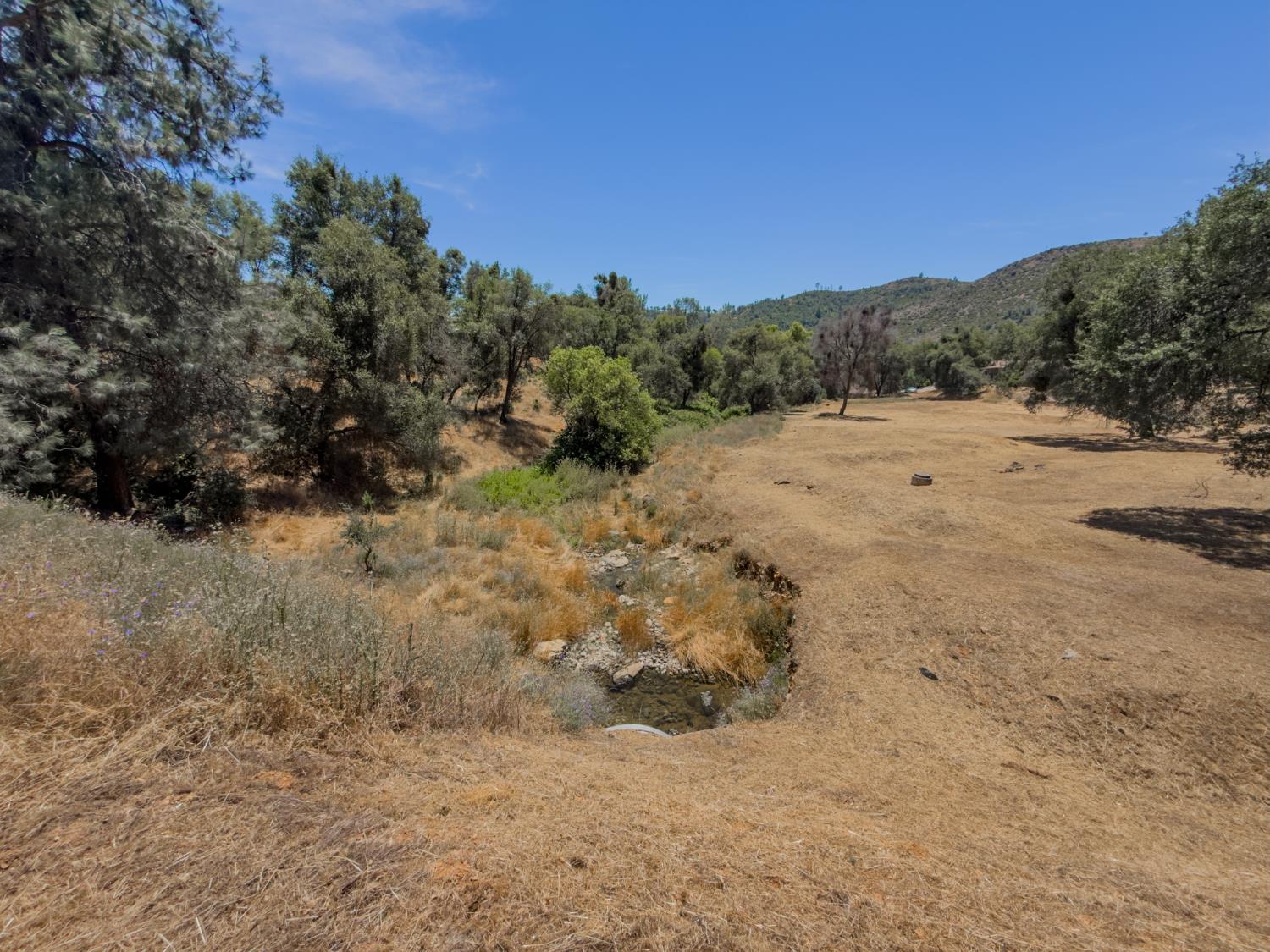 1 Spriggs Ln, Mariposa, CA 95338