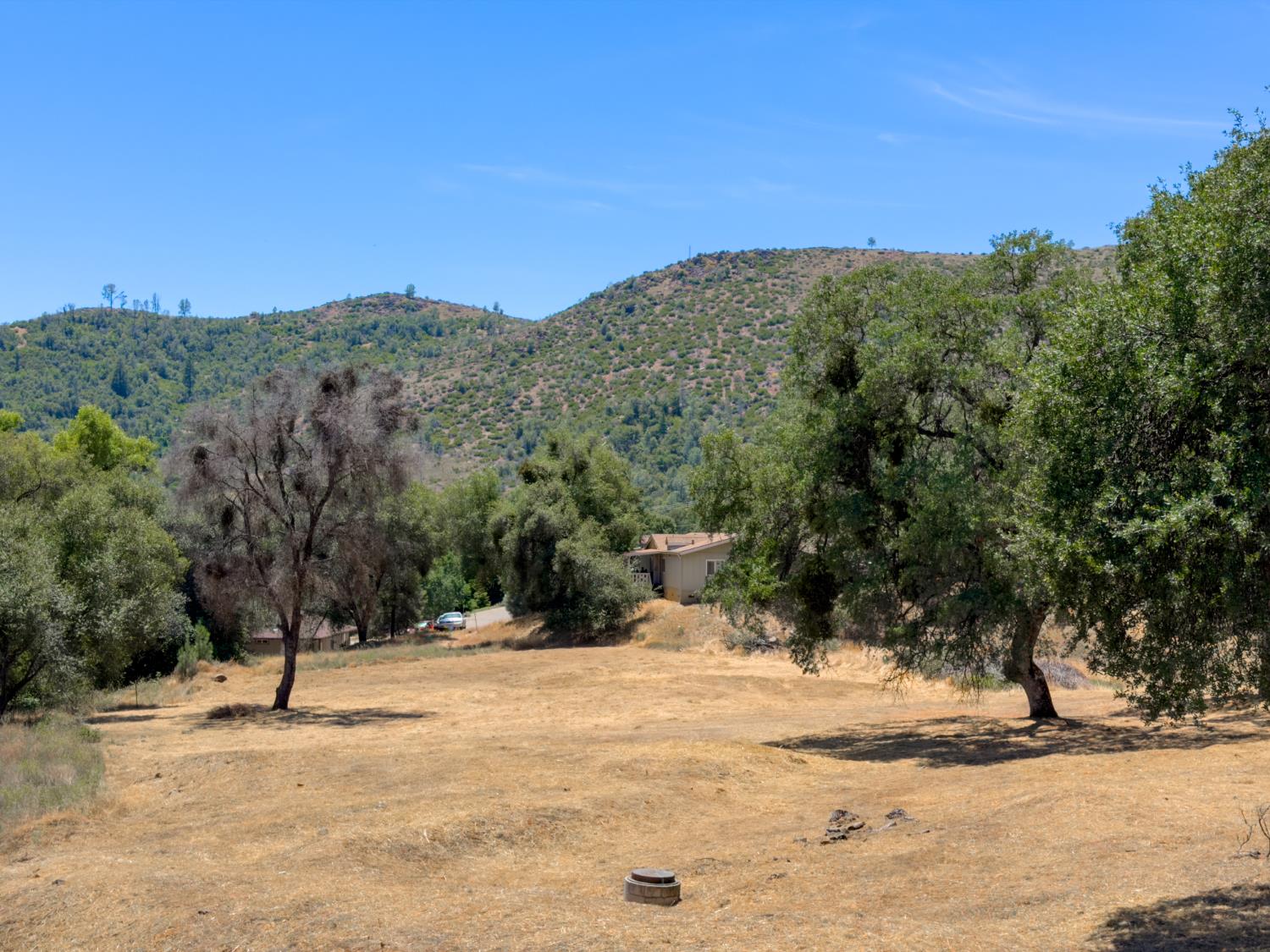 1 Spriggs Ln, Mariposa, CA 95338