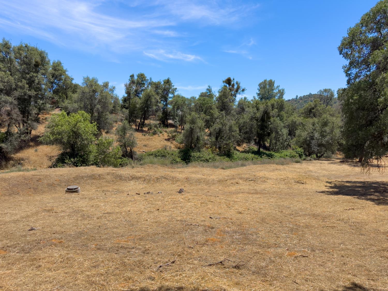 1 Spriggs Ln, Mariposa, CA 95338