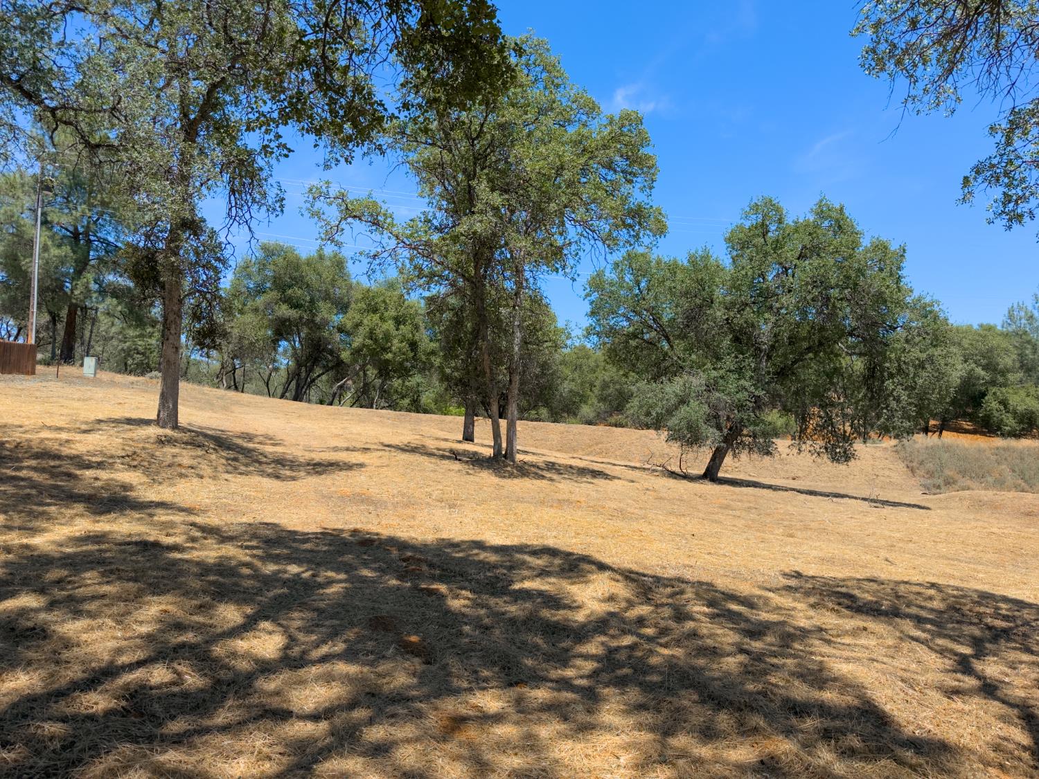 1 Spriggs Ln, Mariposa, CA 95338