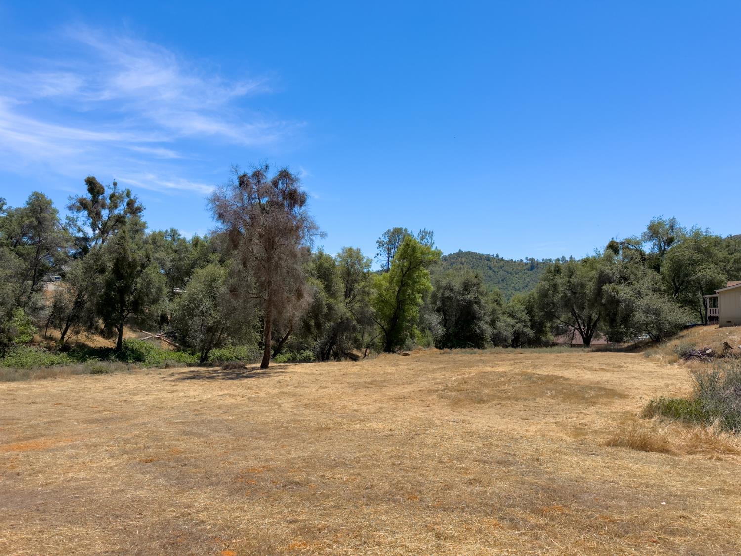 1 Spriggs Ln, Mariposa, CA 95338